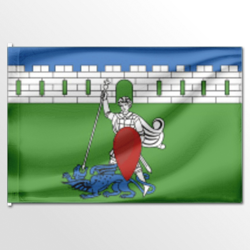 

Флаг ЦТП ФЕНИКС Пригородного сельского поселения Краснодарский край 135x90 см, 834-135x90