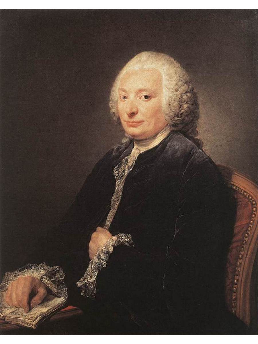 

Постер DRABS A3 Грез Жан Батист 1725 - 1805 Portrait of George Gougenot de Croissy