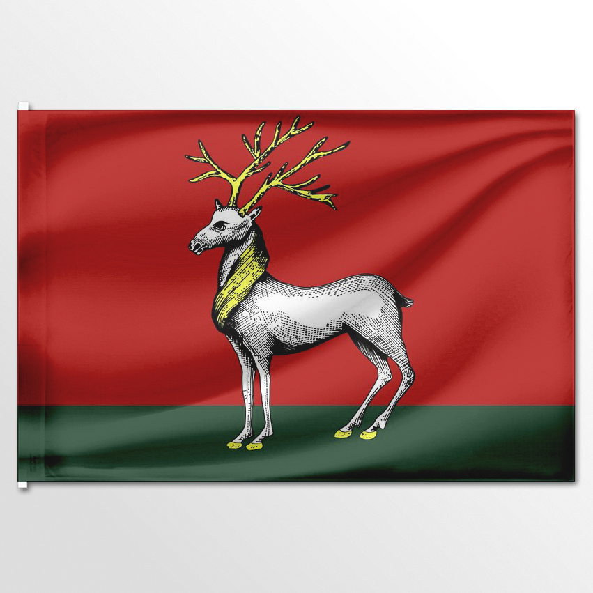 

Флаг ЦТП ФЕНИКС Ростовского района 135x90 см, 2843-135x90
