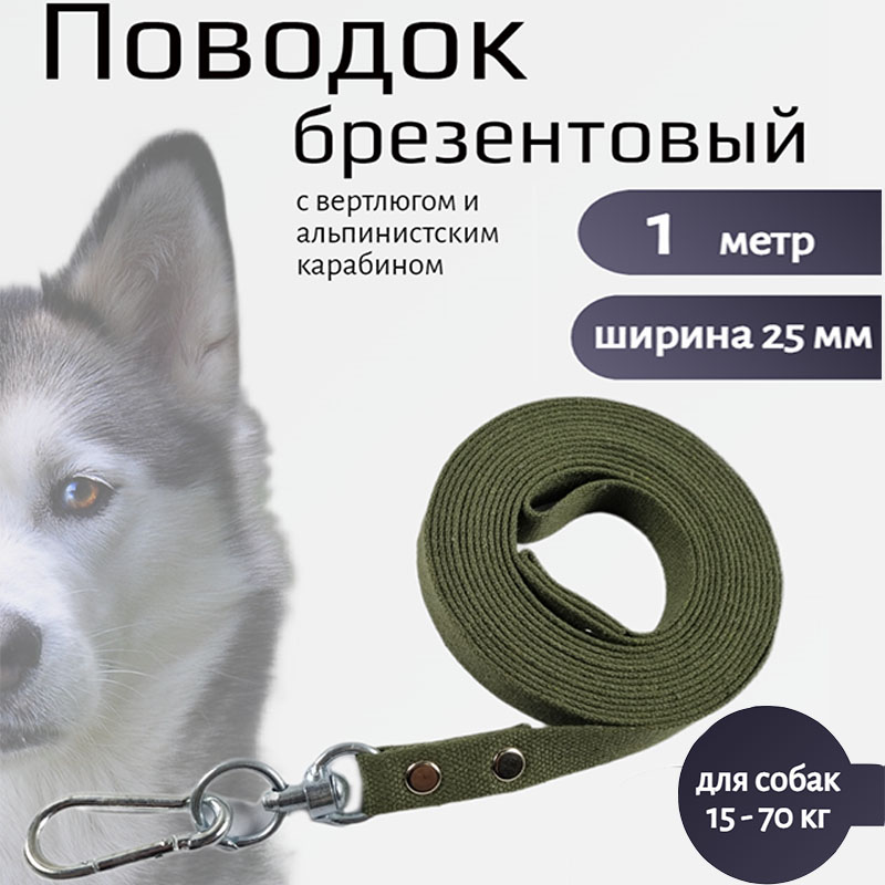 

Поводок для собак Хвостатыч с вертлюгом и альпинистским карабином, зеленый, 1 м х 25 мм