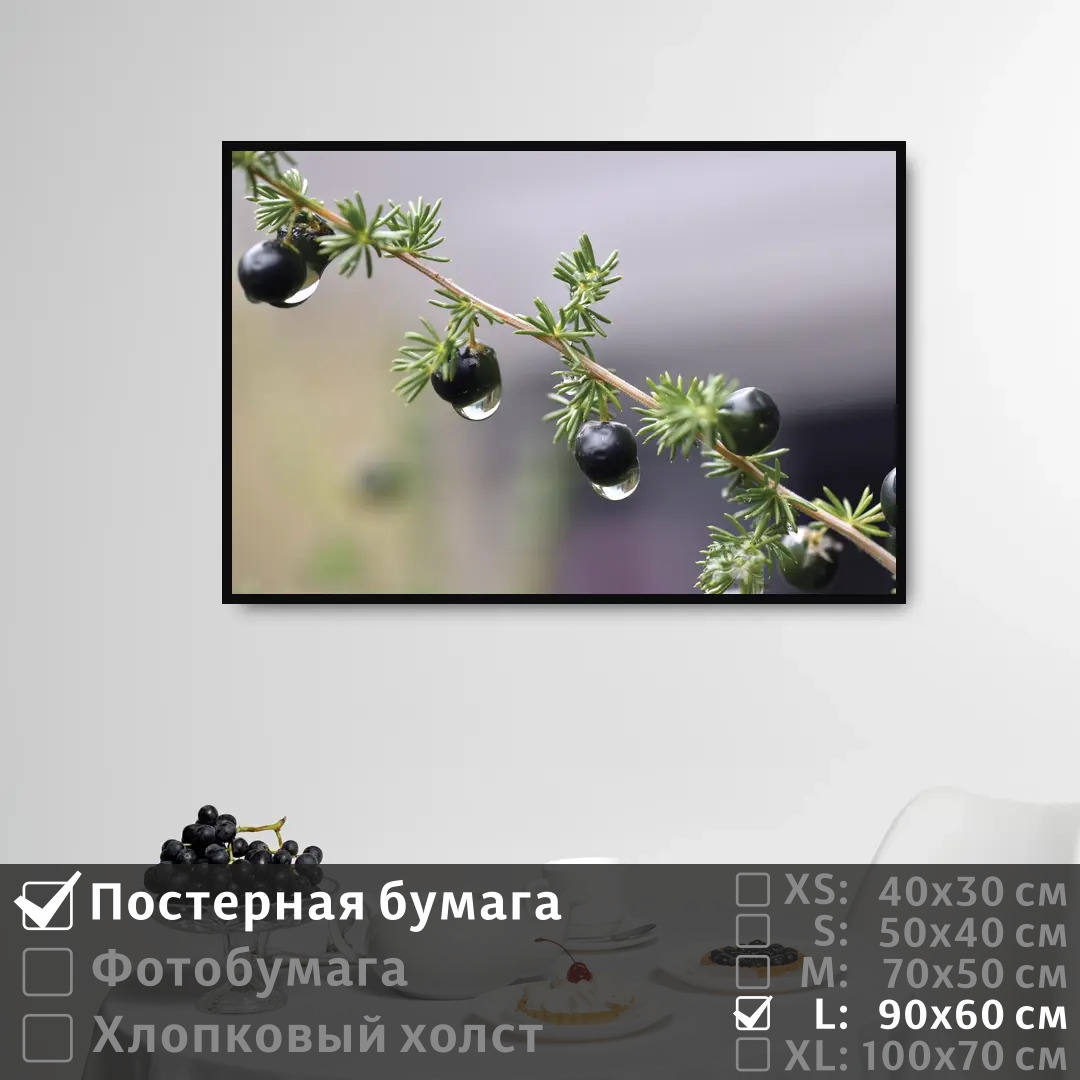 

Постер на стену ПолиЦентр Ветка с ягодой после дождя 90х60 см, ВеткаСЯгодойПослеДождя
