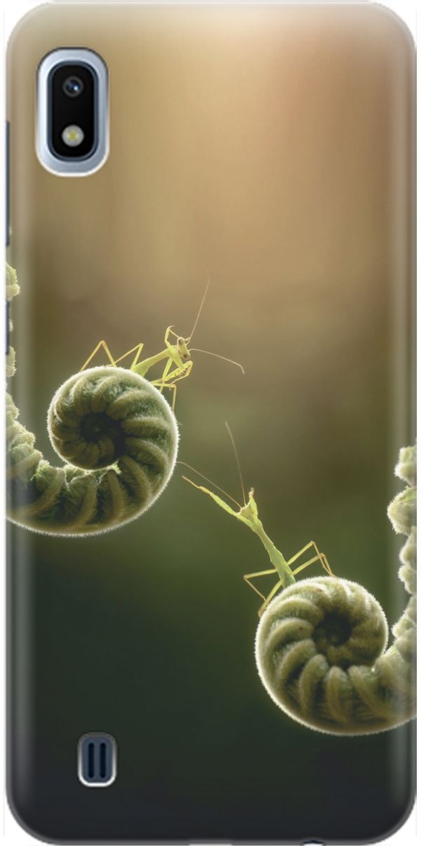 

Силиконовый чехол на Samsung Galaxy A10 "Пара богомолов", Бежевый;зеленый, 1528
