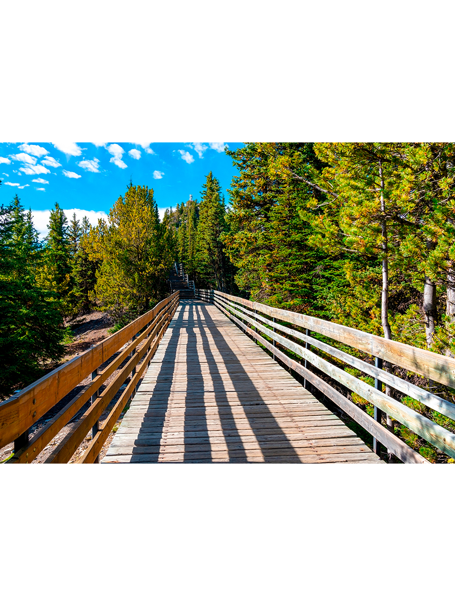 

Постер DRABS А2 деревяный мост в лесу