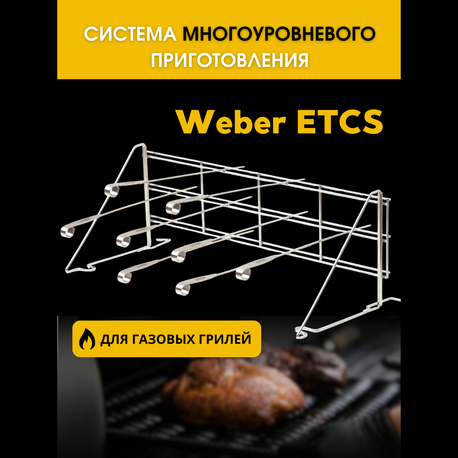 Система приготовления для газовых грилей Weber ETCS 15970₽