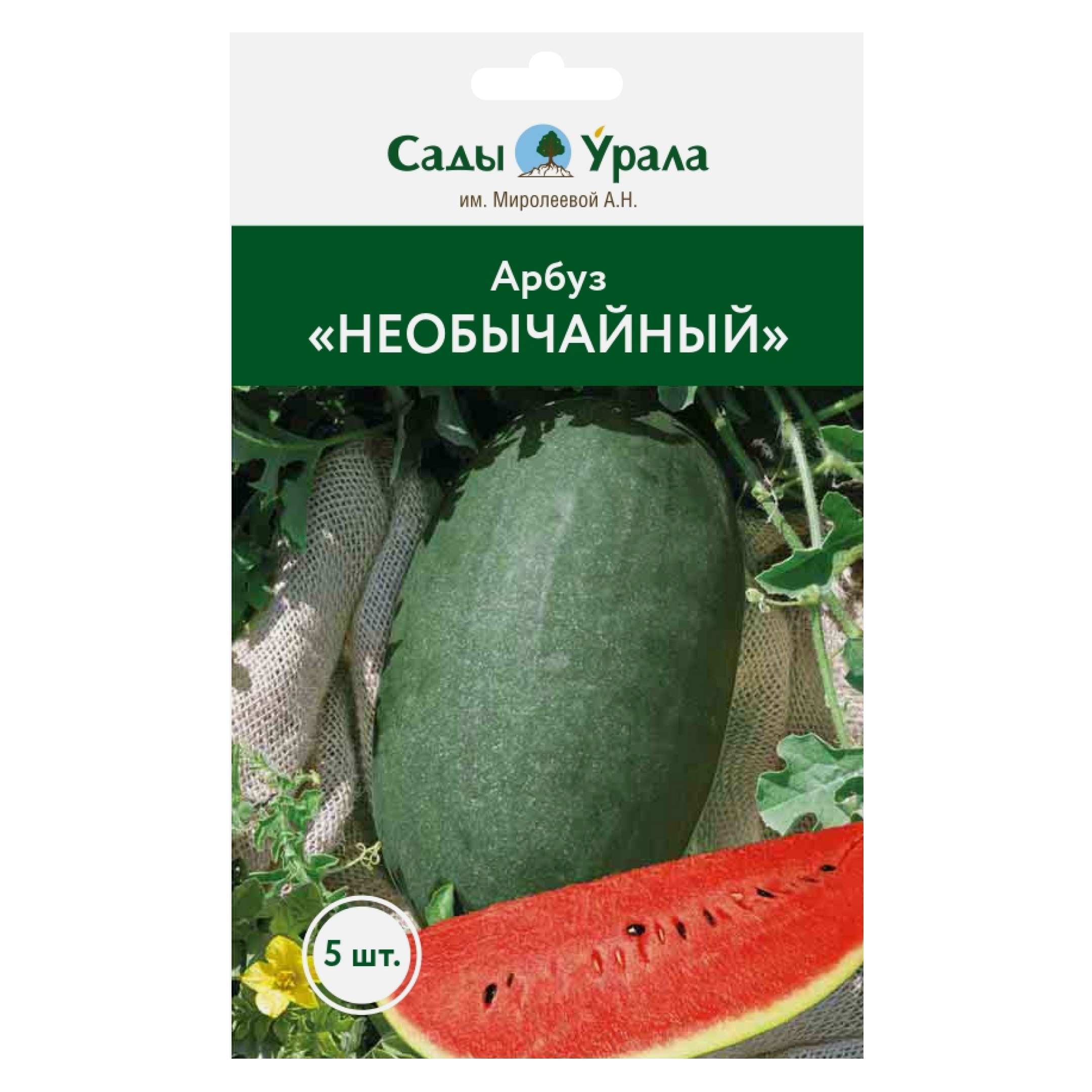 

Семена ягод Арбуз Необычайный, Сады Урала, 5 штук, Арбуз «Необычайный»