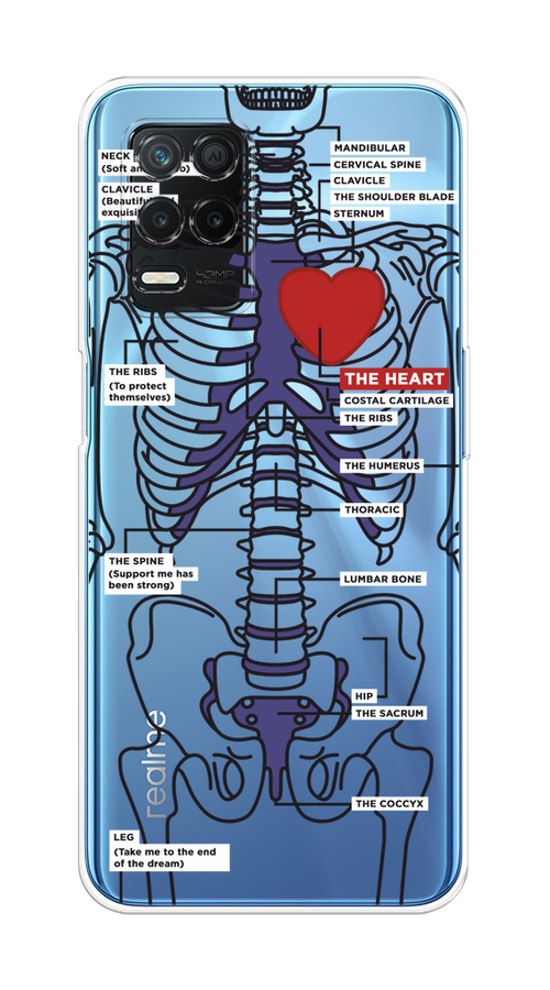 

Чехол на Realme 8 5G/Narzo 30 5G "Скелет человека", Прозрачный;синий;красный, 257150-1