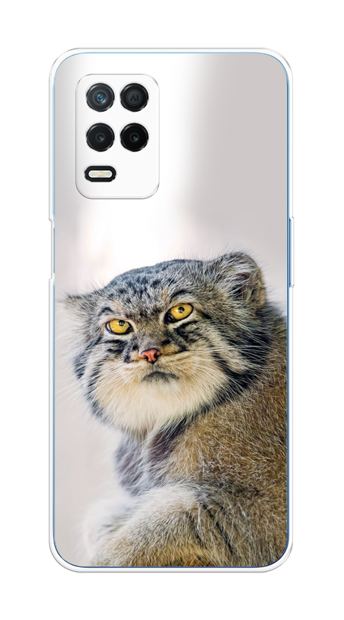 

Чехол на Realme 8 5G/Narzo 30 5G "Кот манул 1", Серый;белый;желтый, 257150-1