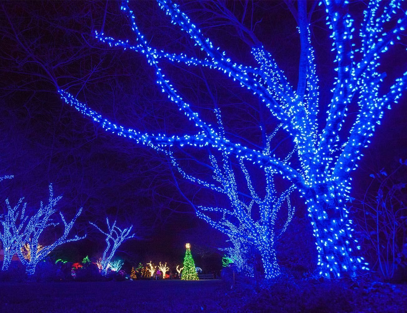 Гирлянды на дерево Клип Лайт BEAUTY LED Quality Light 60 м, 600 синих LED ламп, IP44