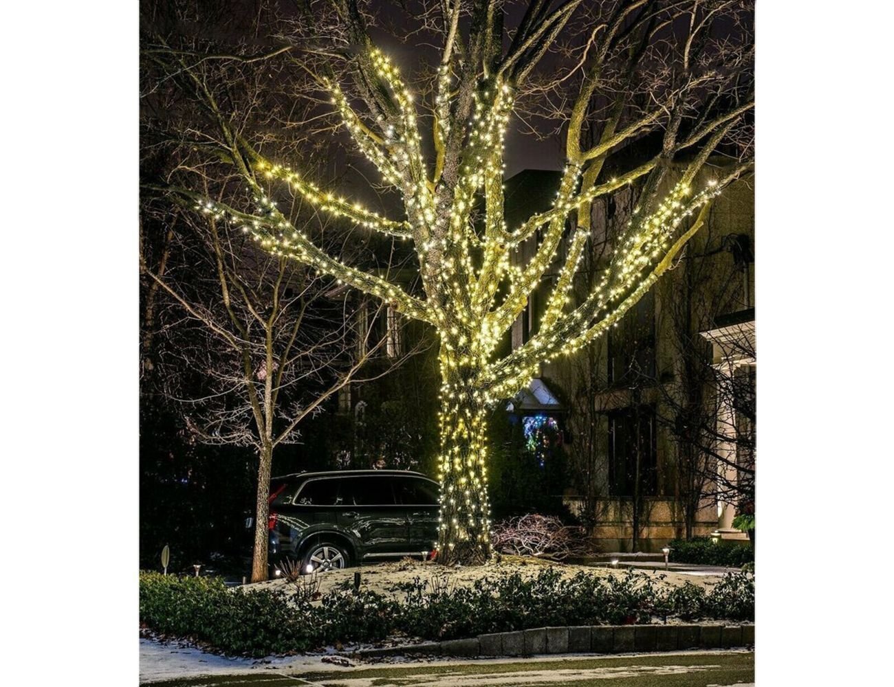 Quality light. Украшение деревьев гирляндами. Новогодняя подсветка деревьев. Новогоднее украшение деревьев. Деревья украшенные гирляндами.