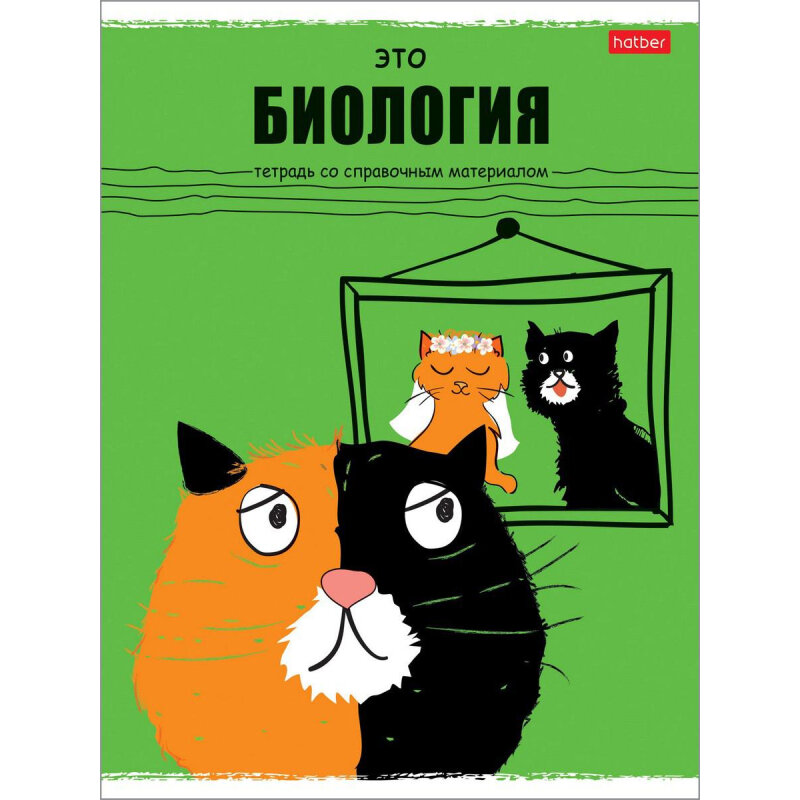 

Тетрадь предметная А5,48л,Черный кот БИОЛОГИЯ 073108, 1507501
