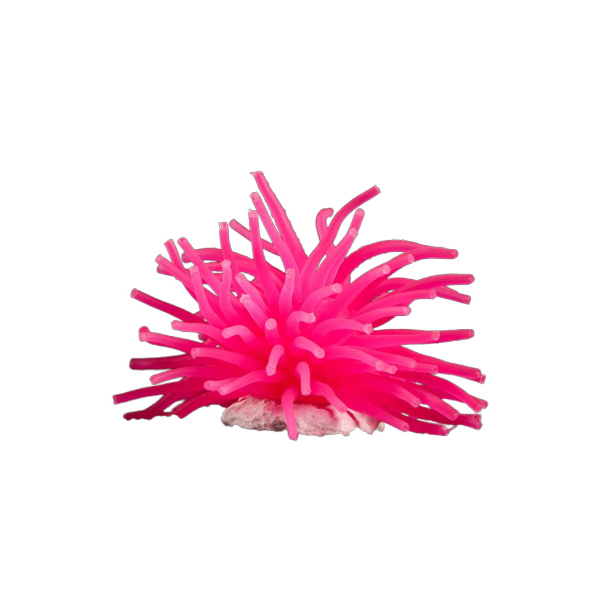 фото Декоративный анемон пижон аква для аквариума, 8 х 5 см, розовый