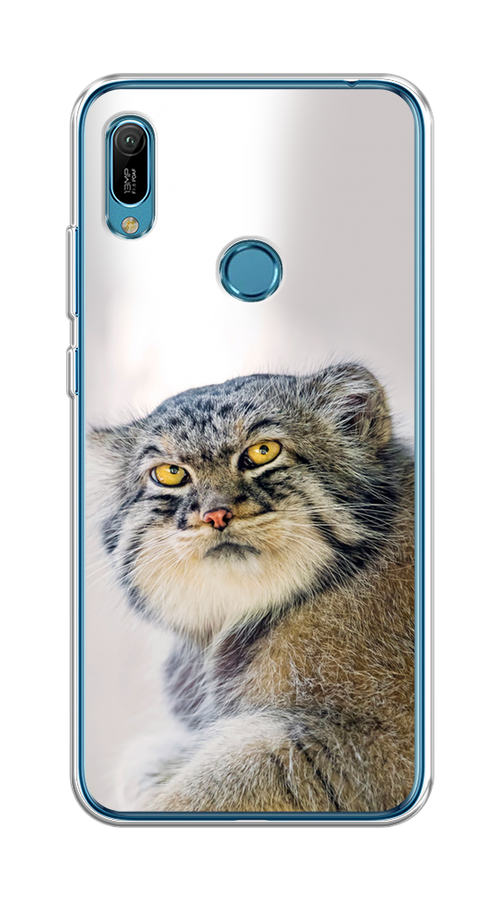 

Чехол на Huawei Y6 2019, Honor 8a/8a Pro/Y6s "Кот манул 1", Серый;белый;желтый, 68650-1