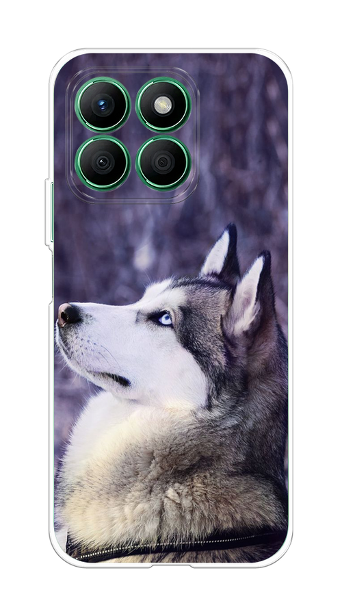 

Чехол на Honor X8B "Хаски 1", Фиолетовый;белый, 6123250-1