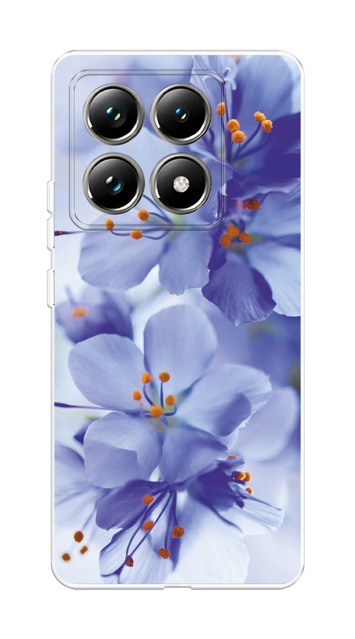 

Чехол на Xiaomi 14T Pro "Фиолетовые цветки", Фиолетовый;синий, 323450-1