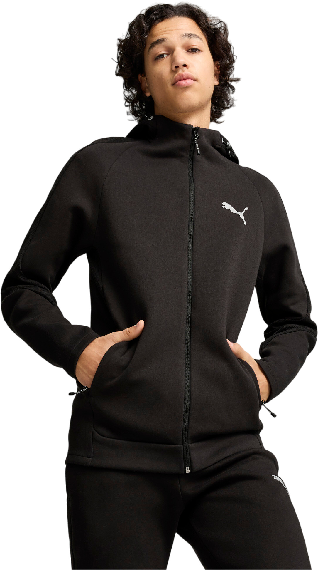 Толстовка мужская PUMA EVOSTRIPE Full-Zip Hoodie DK черная L