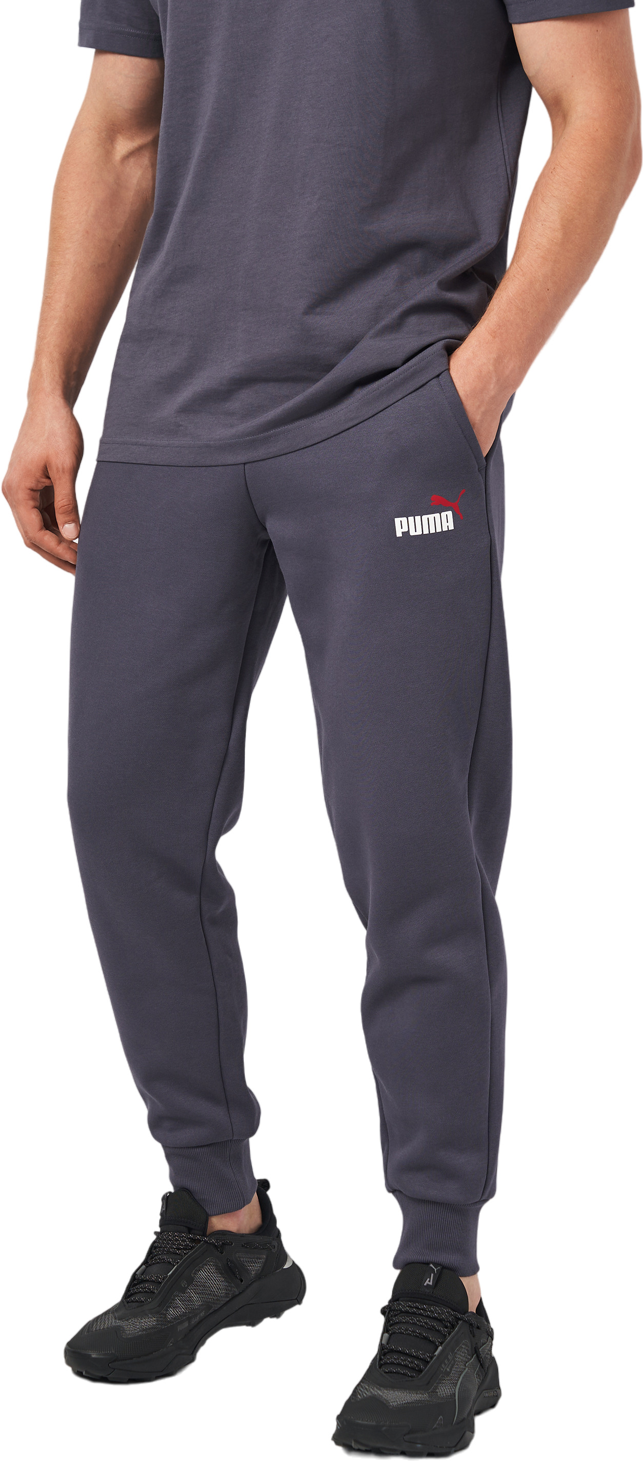 

Спортивные брюки мужские PUMA ESS+ 2 Col Logo Pants FL cl серые XL, Серый, ESS+ 2 Col Logo Pants FL cl