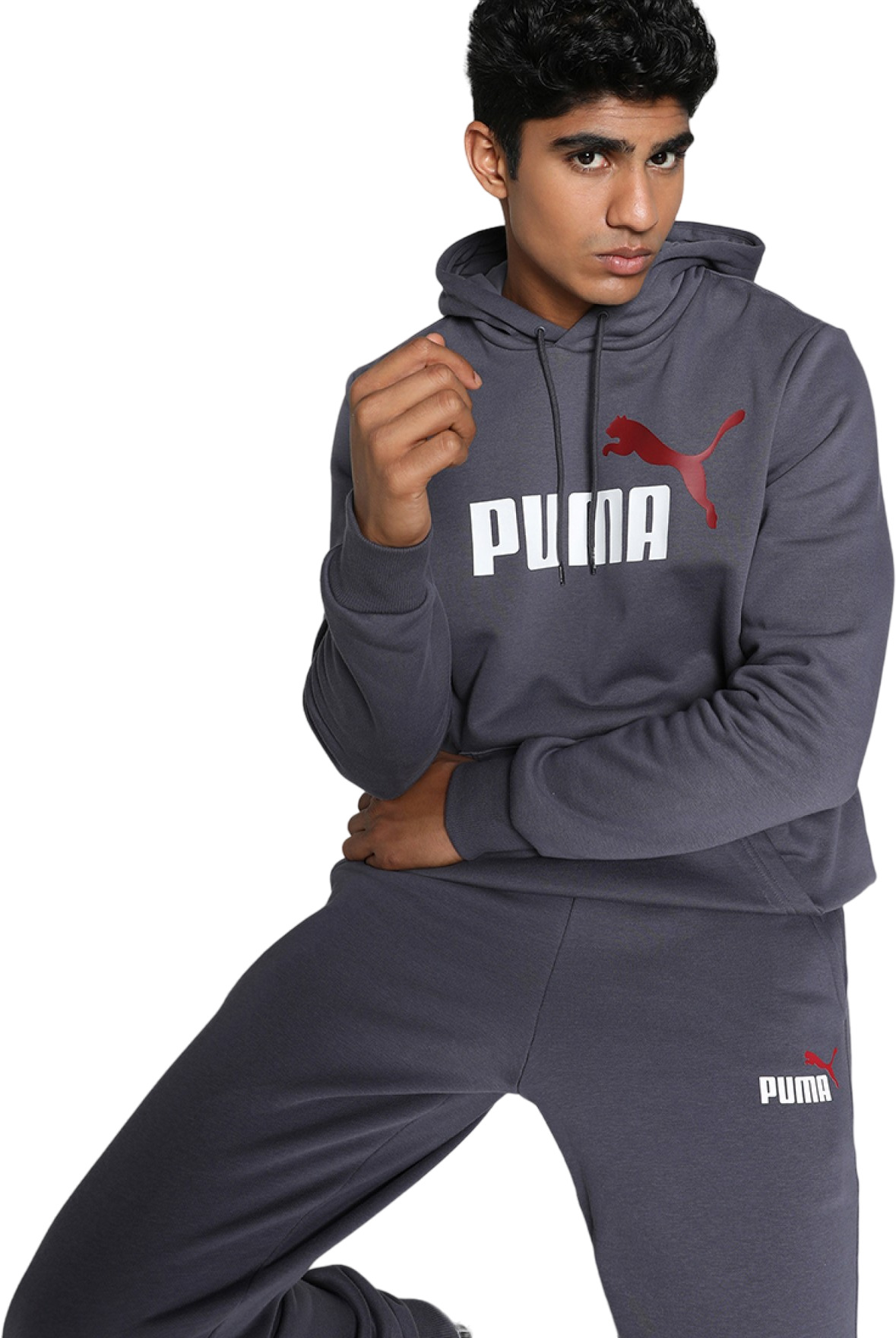 Худи мужское PUMA ESS+ 2 Col Big Logo Hoodie FL серое M