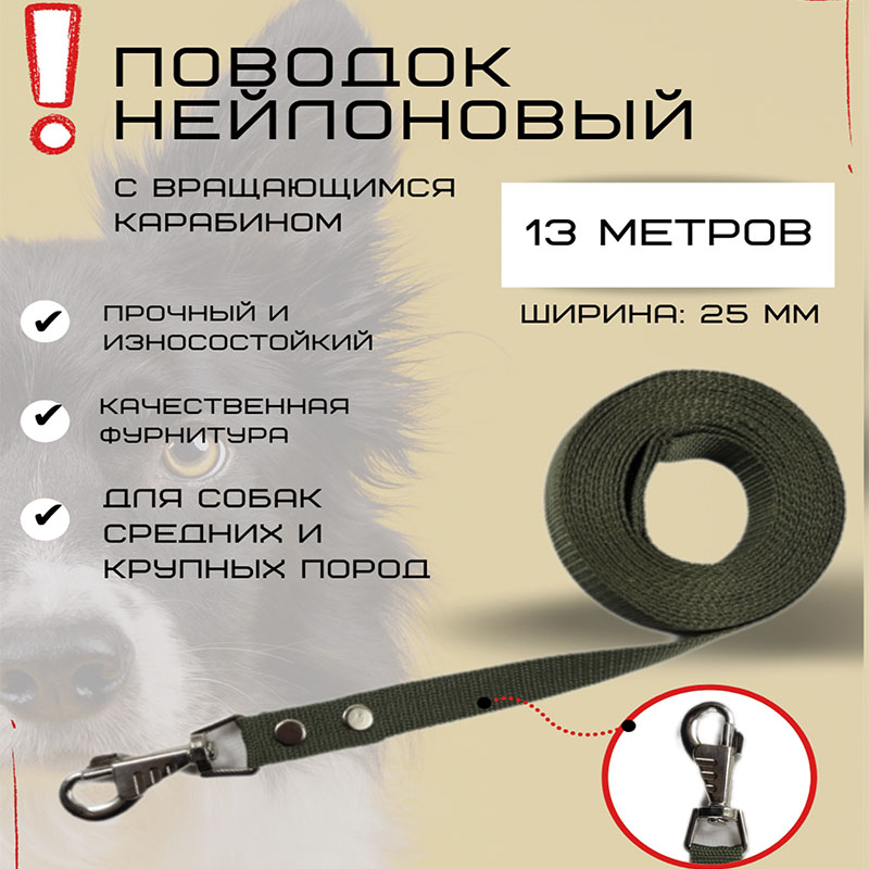 

Поводок для собак Хвостатыч, нейлоновый, зеленый, 13 м х 25 мм