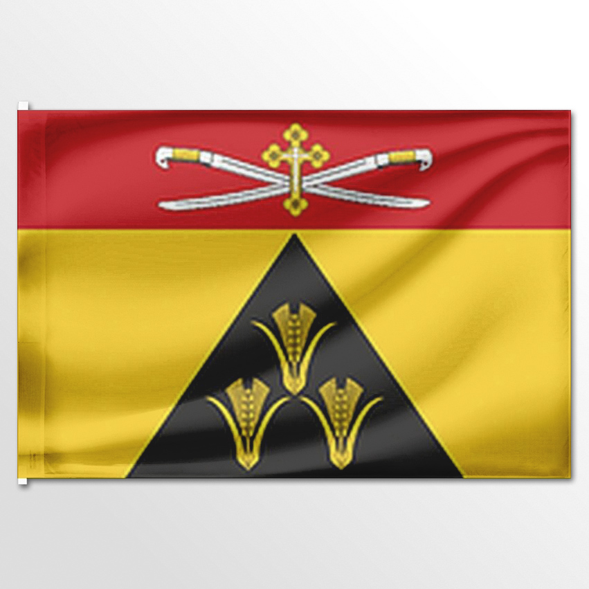 

Флаг ЦТП ФЕНИКС Большовского сельского поселения 135x90 см, 7993-135x90