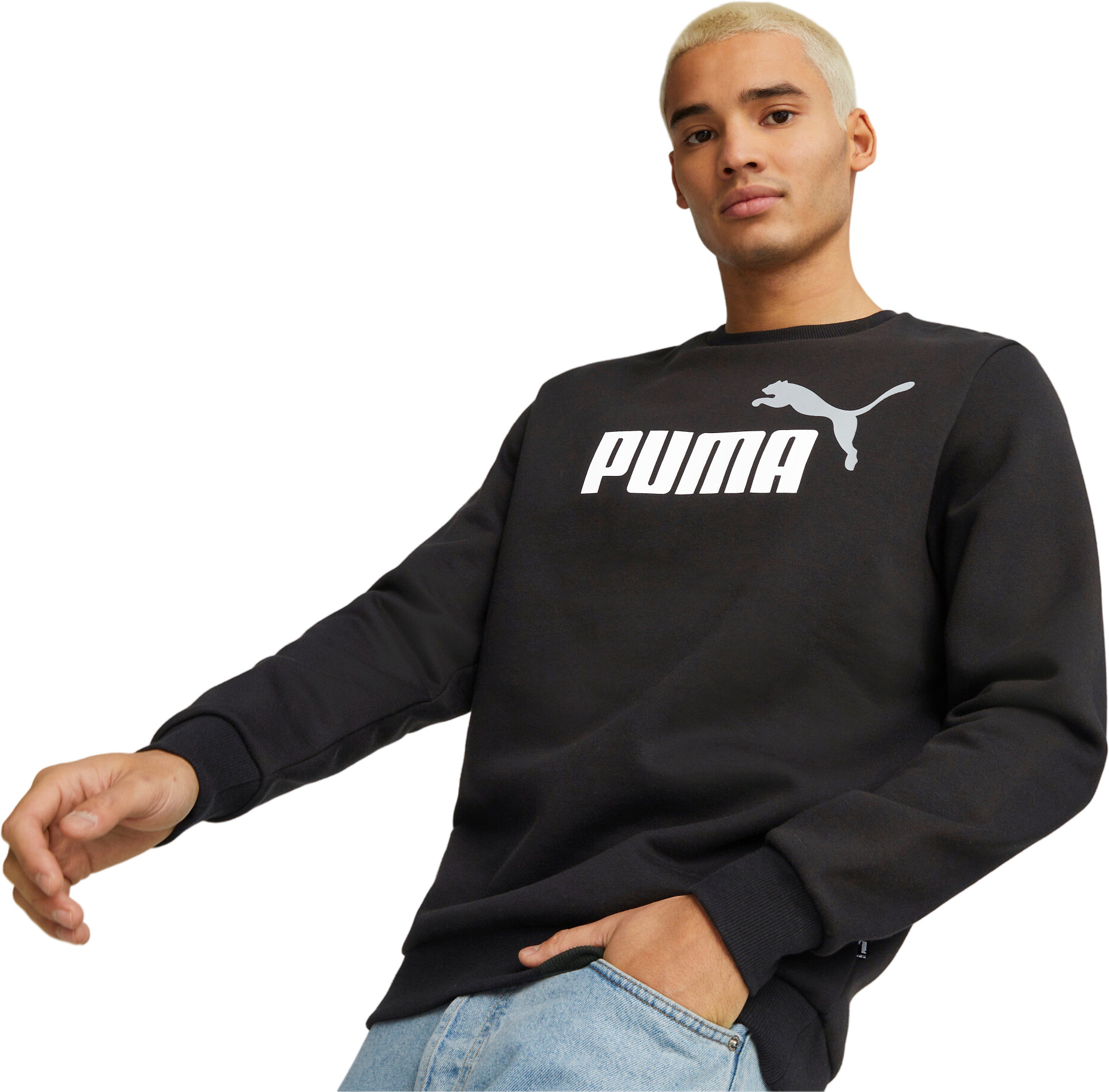 Свитшот мужской PUMA ESS+ 2 Col Big Logo Crew FL черный L