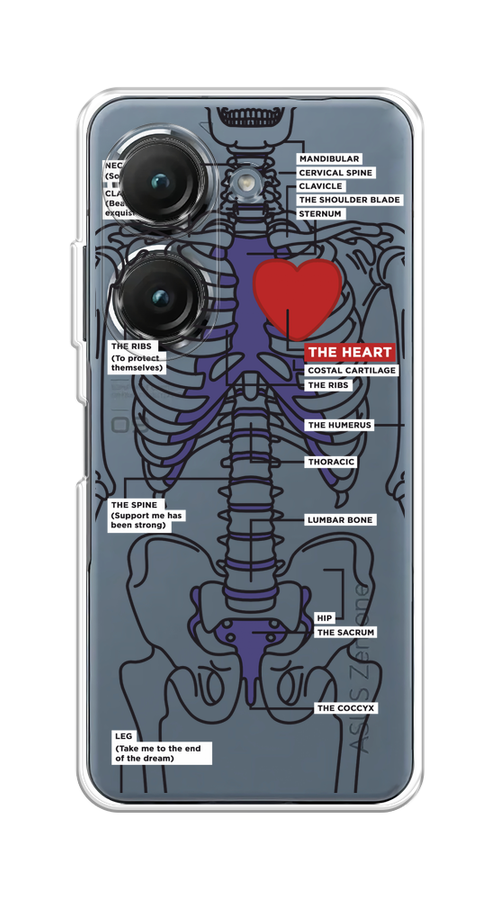 

Чехол на Asus ZenFone 9/ZenFone 10 "Скелет человека", Прозрачный;синий;красный, 44950-1