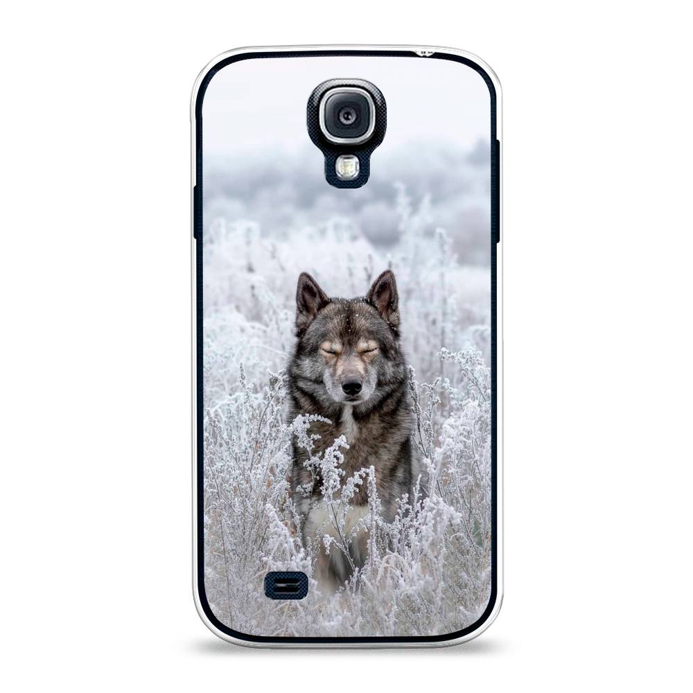 

Чехол Awog на Samsung Galaxy S4 / Самсунг S4 "Волк в поле", 23950-1