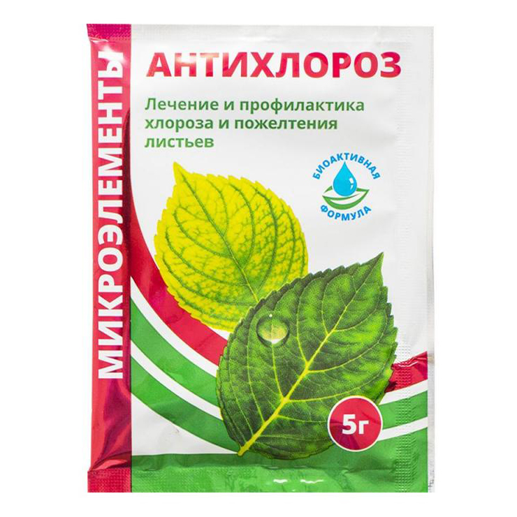 Лечебные средства БиоМастер Хитозан Антихлороз Микроэлементы 5 г