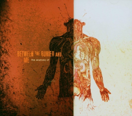 

BETWEEN THE BURIED AND ME - The Anatomy Of