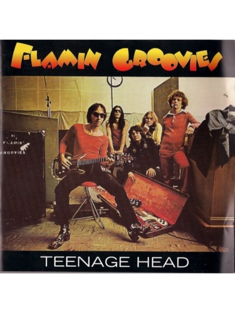 

FLAMIN GROOVIES - Teenage Head