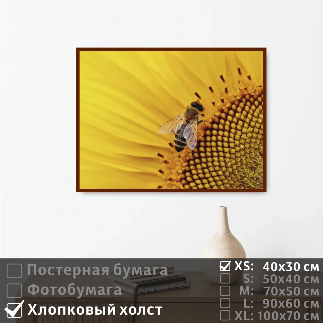 

Постер на холсте ПолиЦентр Пчела в подсолнухе 40х30 см, ПчелаВПодсолнухе