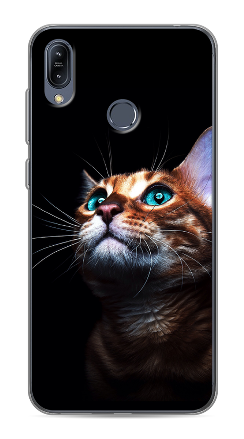 

Чехол Awog на Asus Zenfone Max M2 ZB633KL "Мечтательный кот", Коричневый, 43750-1