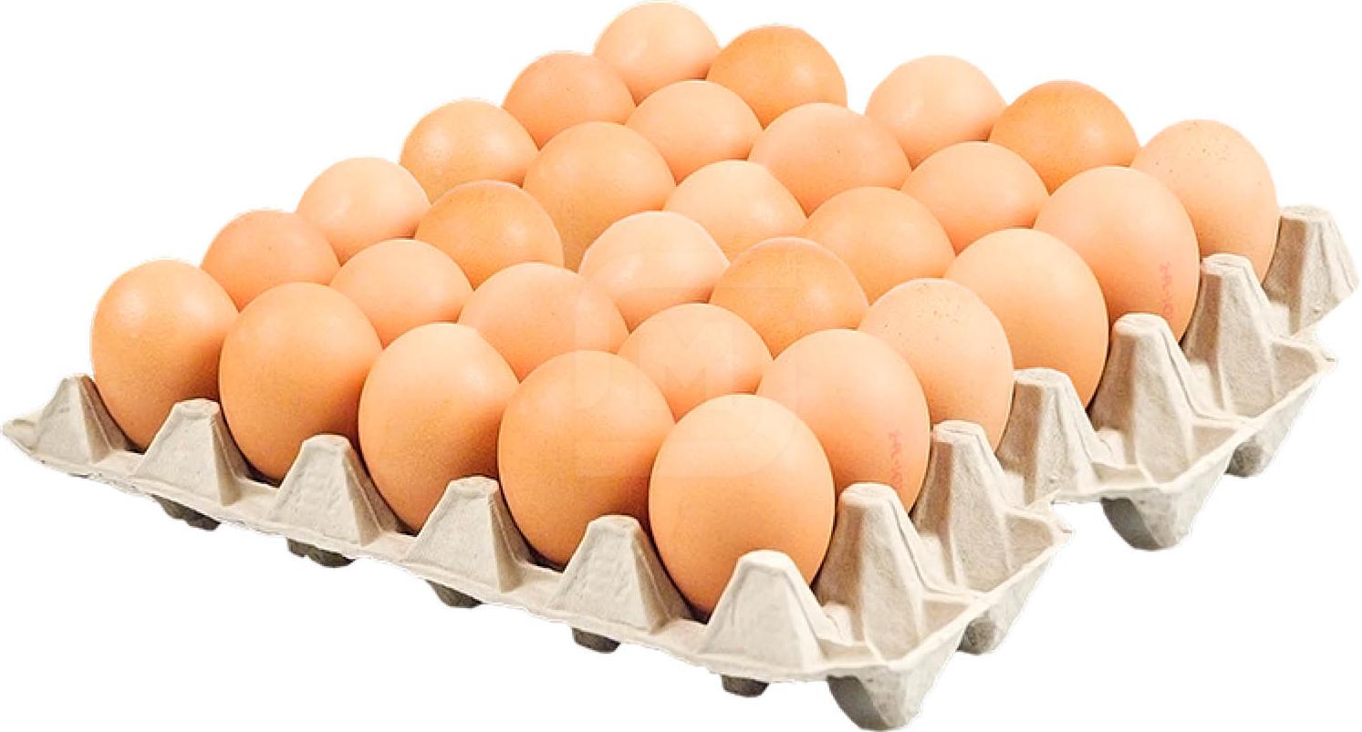 Яйца купить нижний новгород. Яйцо куриное с-1, 30шт. Яйцо куриное столовое с1 30 шт. Яйца лоток 30шт.