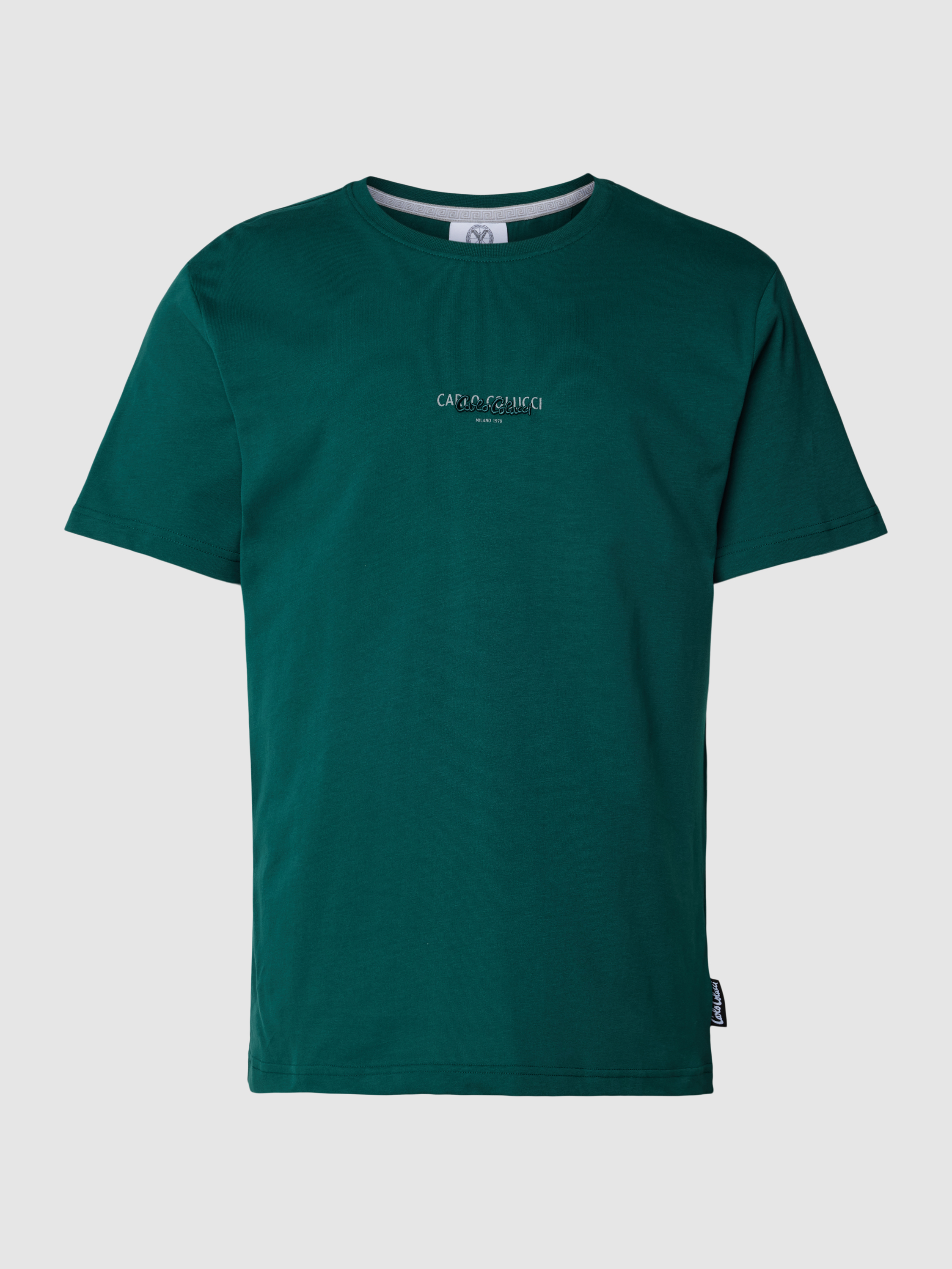 

Футболка мужская Carlo Colucci 1858426 зеленая S (доставка из-за рубежа), Зеленый, 1858426