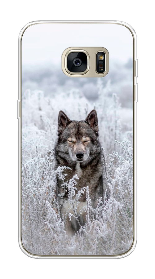 

Чехол Awog на Samsung Galaxy S7 "Волк в поле", Белый;черный, 24550-1