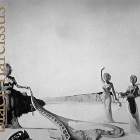 

MEPHISTA - Black Narcissus