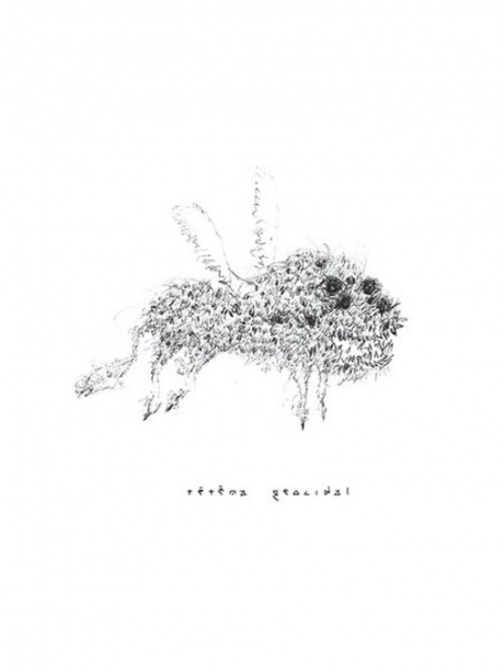 

TETEMA - Geocidal