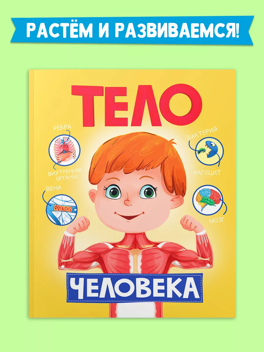 

Детская энциклопедия в картинках Тело человека, Книги для обучения