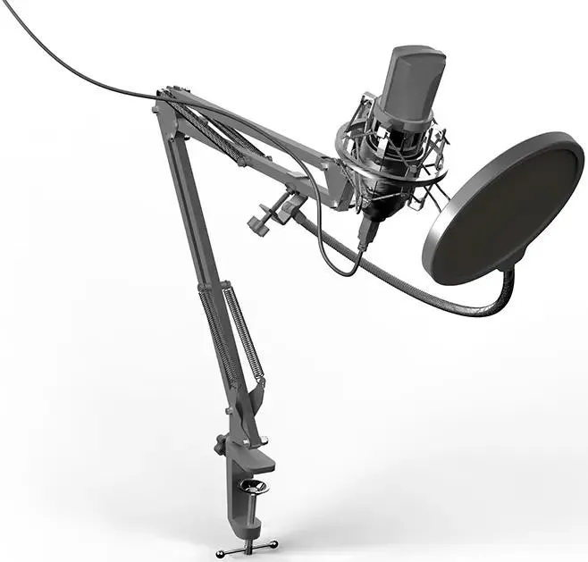 

Микрофон Ritmix RDM-169 Black (80000749), RDM-169