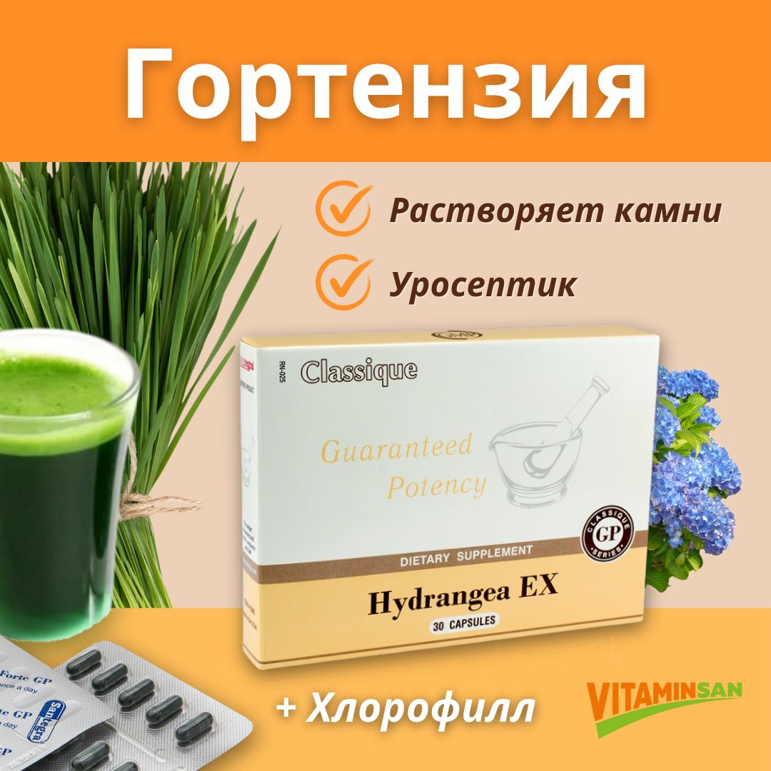 Экстракт корня гортензии Santegra Hydrangea EX 30 капсул