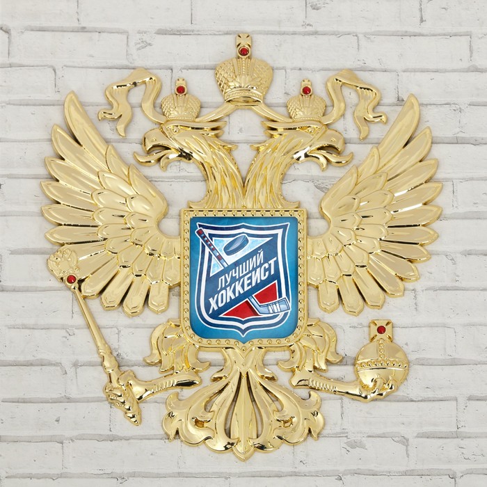 

Герб настенный «Лучший хоккеист», 25 х 22.5 см, Профессии