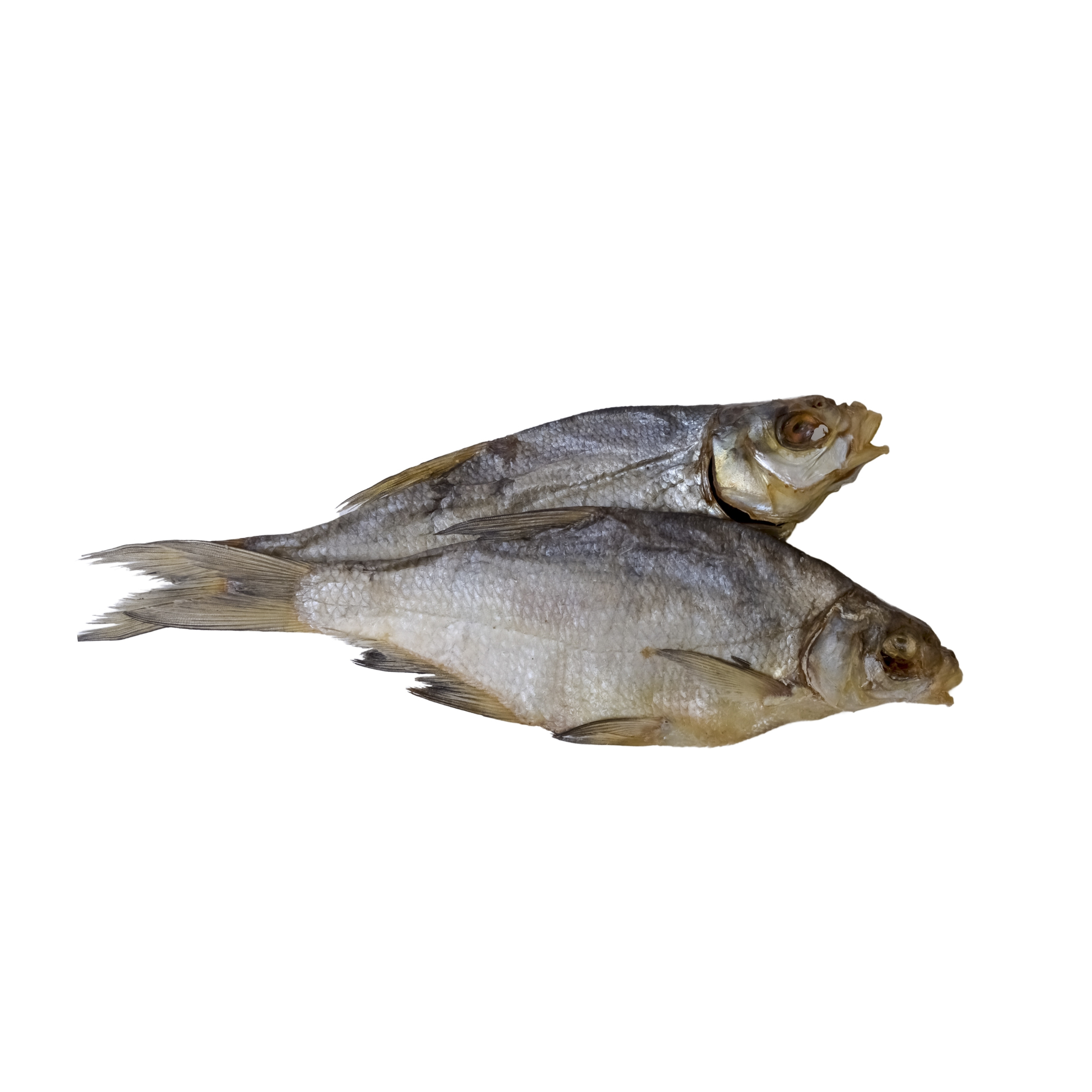 Густера вяленая