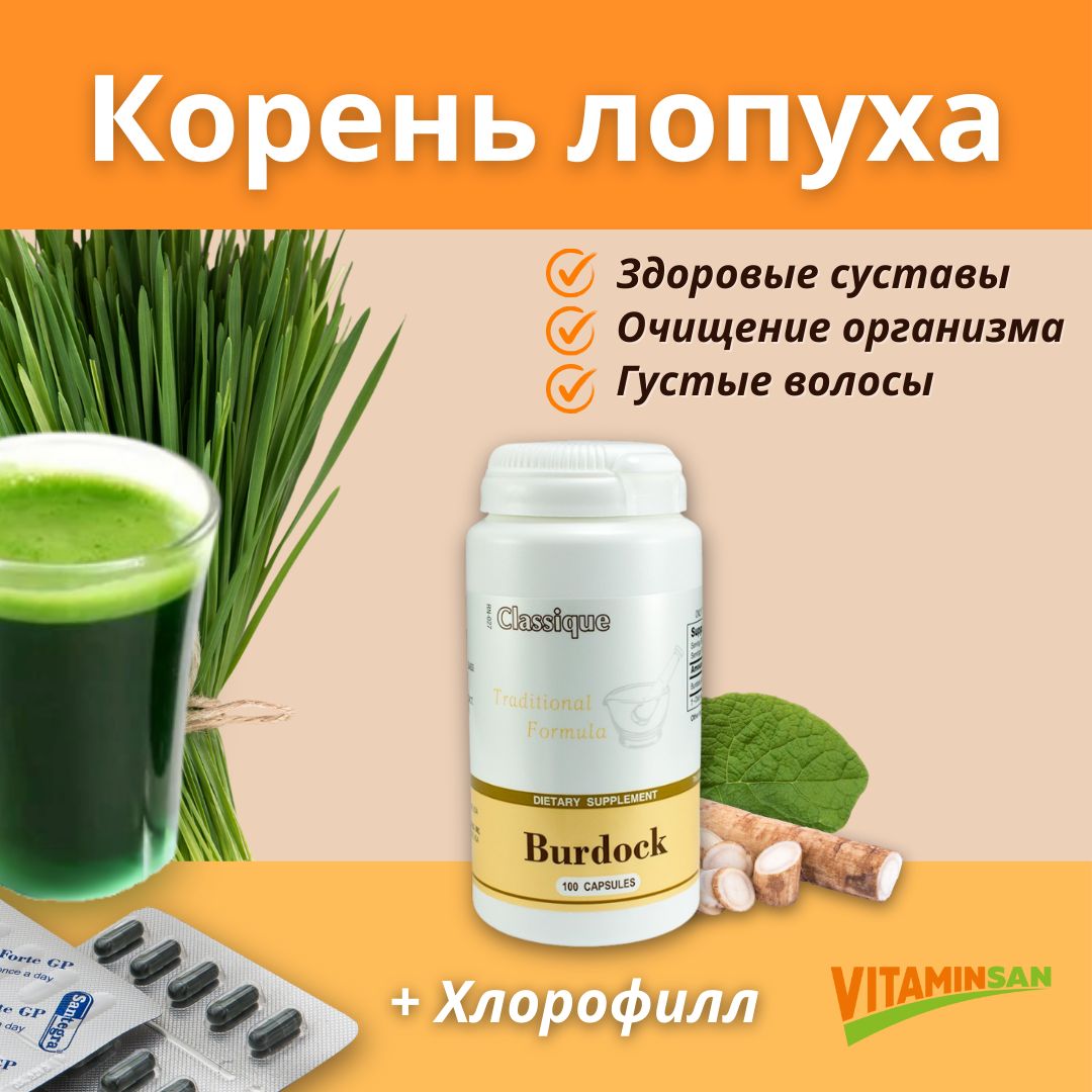 Экстракт корня лопуха Santegra Burdock 420 мг 100 капсул 2267₽