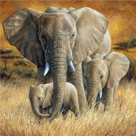 фото Алмазная мозаика стразами ripoma три слона 00114002 30х30 см
