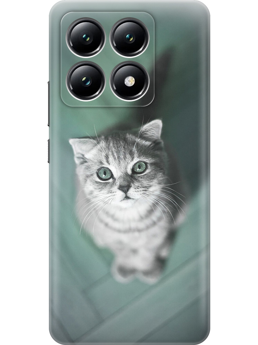 

Силиконовый чехол на Xiaomi 14T с принтом "Котик на зеленом полу", Прозрачный;зеленый;серый, 785978411