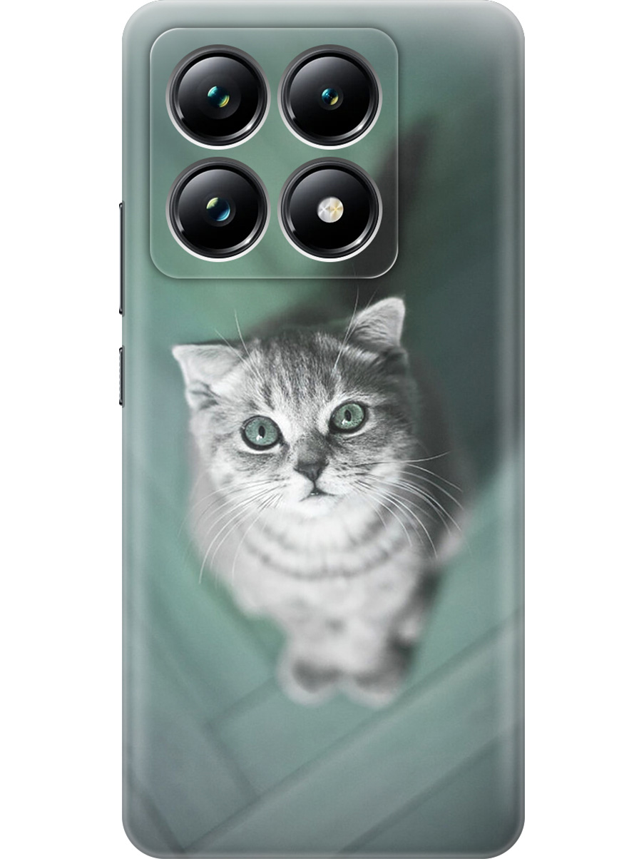 

Силиконовый чехол на Xiaomi 14T Pro с принтом "Котик на зеленом полу", Прозрачный;зеленый;серый, 785979011