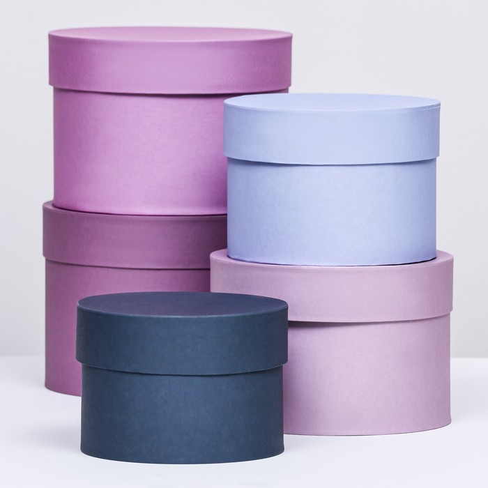 

Набор круглых подарочных коробок 5 в 1 Нежный 20х14 - 15 х10 см, Разноцветный