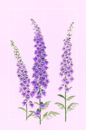 фото Набор для вышивания derwentwater designs "foxgloves", арт.fp02