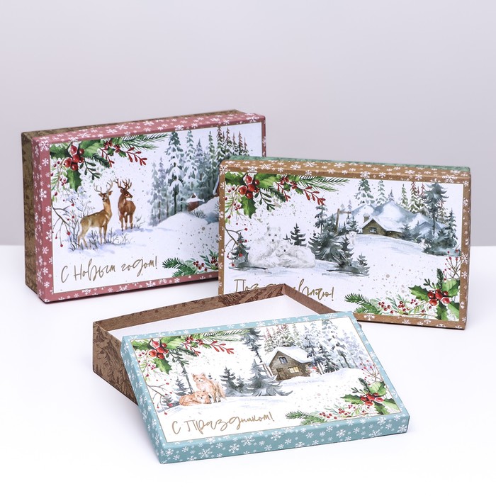 

Набор коробок 3 в 1 Олени в зимнее утро , 29,5 х 19 х 8 - 24 х 14 х 5 см, Разноцветный