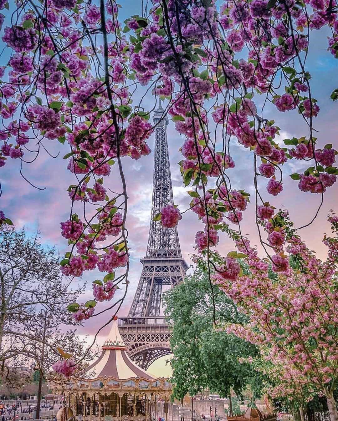 Эйфелева башня в цветах