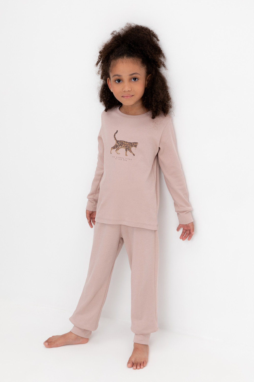 

Пижама детская CROCKID К 1044, кофейный, 110, 1 шт, Коричневый, К 1044